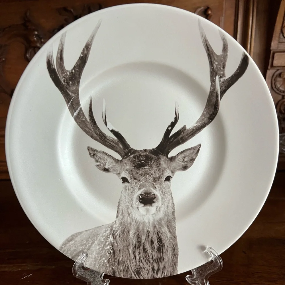 Pier 1 Imports 1 “Winter Forest” Accent Plate